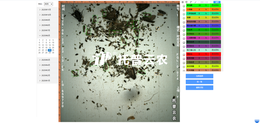 2. AI識別 自動計(jì)數(shù)_副本.png