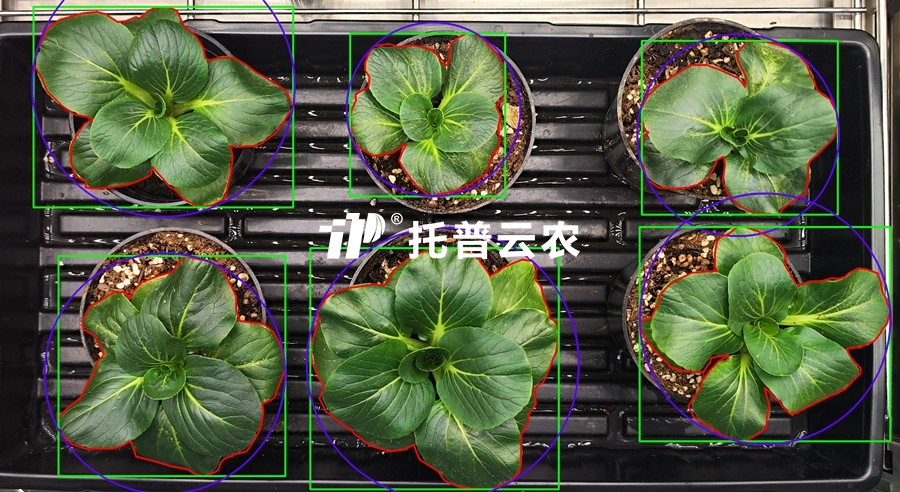 表型分析-環(huán)控型植物生長(zhǎng)表型分析系統(tǒng).jpg