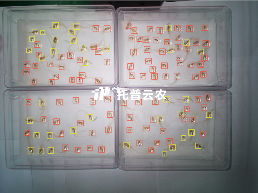 發(fā)芽率識(shí)別-高通量植物環(huán)境調(diào)控+高通量種子智能萌發(fā)鑒定系統(tǒng).png