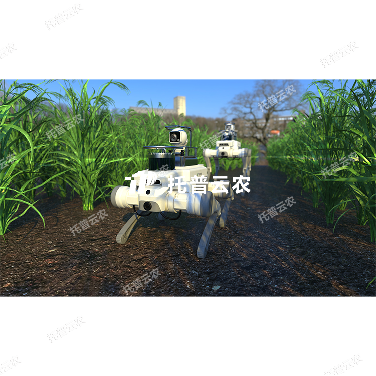 45e291d435dae346562077707ce694ab_1757036104477919.png