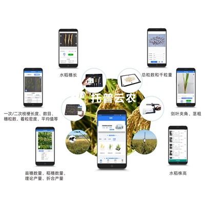 水稻表型檢測系統(tǒng)TPS-BX-1_400.jpg